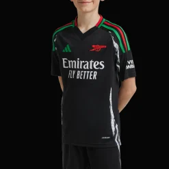 Arsenal Away Jersey 2024/25, nuorten jalkapalloasu - Premier League - Arsenal Away Jersey 2024/25, nuorten jalkapalloasu