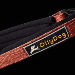 Flagstaff Adjustable Spring Leash - Koiran Pannat, Hihnat Ja Koiran Fleksit - Flagstaff Adjustable Spring Leash