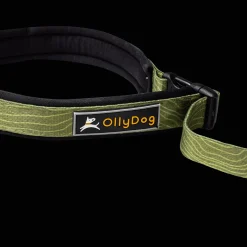 Flagstaff Adjustable Spring Leash - Koiran Pannat, Hihnat Ja Koiran Fleksit - Flagstaff Adjustable Spring Leash