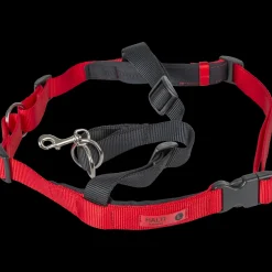 Halti harjoitusvaljaat L - Koiran Pannat, Hihnat Ja Koiran Fleksit - Halti harjoitusvaljaat L
