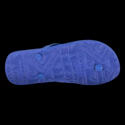 Java Sound of Wave, naisten varvassandaalit - Sandaalit - Java Sound of Wave, naisten varvassandaalit