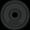 25 mm Weightplate - 2.5kg, levypaino - Levypainot - 25 mm Weightplate - 2.5kg, levypaino