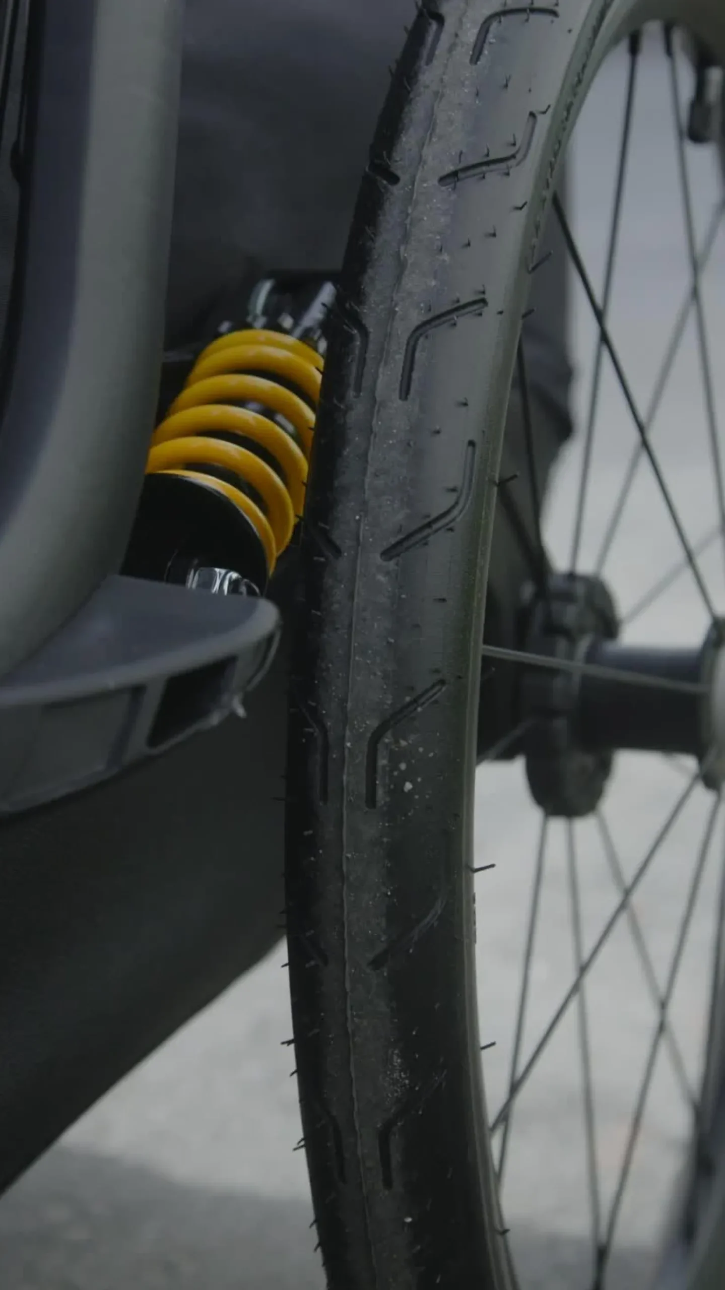 Pluto Large, koirankuljetuskärry - Kuljetuskärryt Pyörään - Pluto Large, koirankuljetuskärry