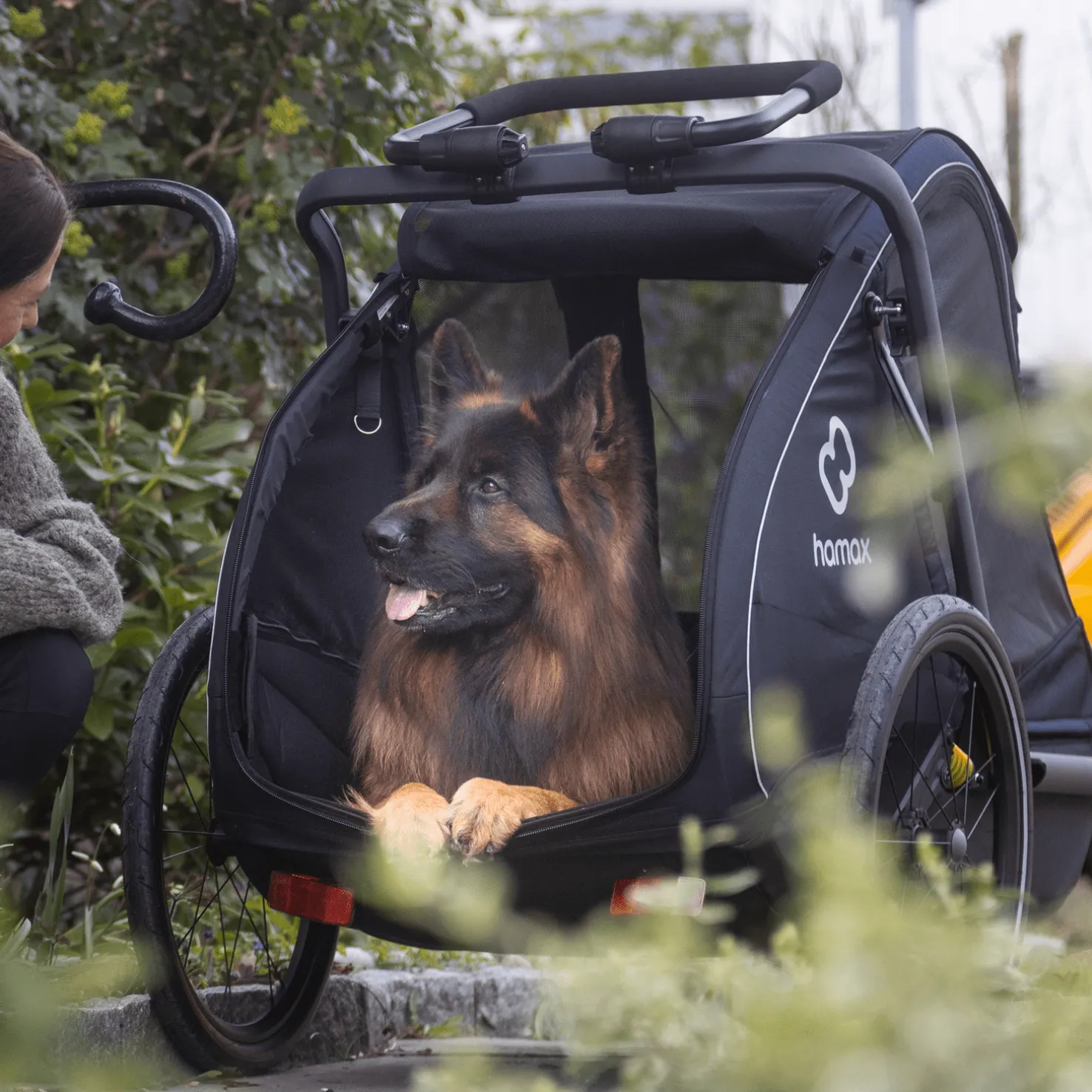 Pluto Large, koirankuljetuskärry - Kuljetuskärryt Pyörään - Pluto Large, koirankuljetuskärry