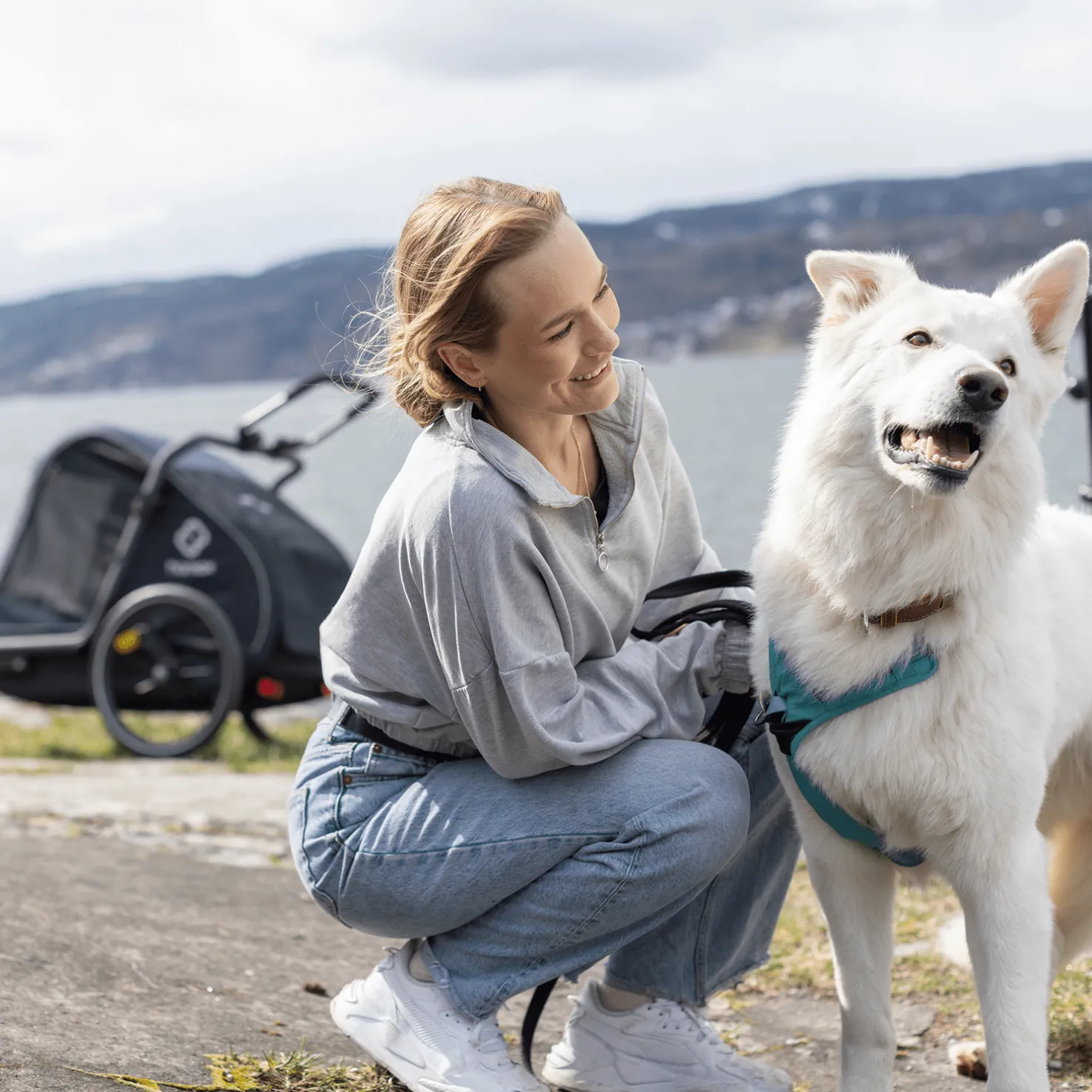 Pluto Large, koirankuljetuskärry - Kuljetuskärryt Pyörään - Pluto Large, koirankuljetuskärry