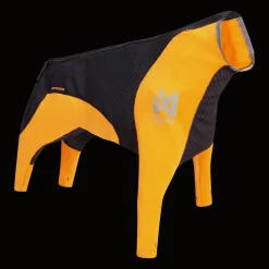 Protector Snow, Female - Koiran Turkin Hoito Ja Hampaiden Hoito - Protector Snow, Female