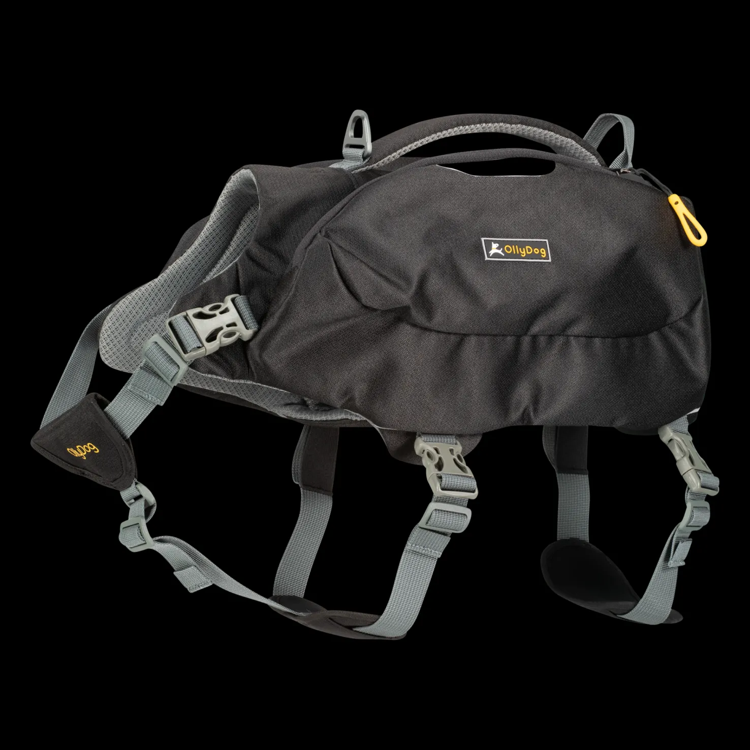 Rover Dog Pack Raven, koiran reppu - Koiran Turkin Hoito Ja Hampaiden Hoito - Rover Dog Pack Raven, koiran reppu