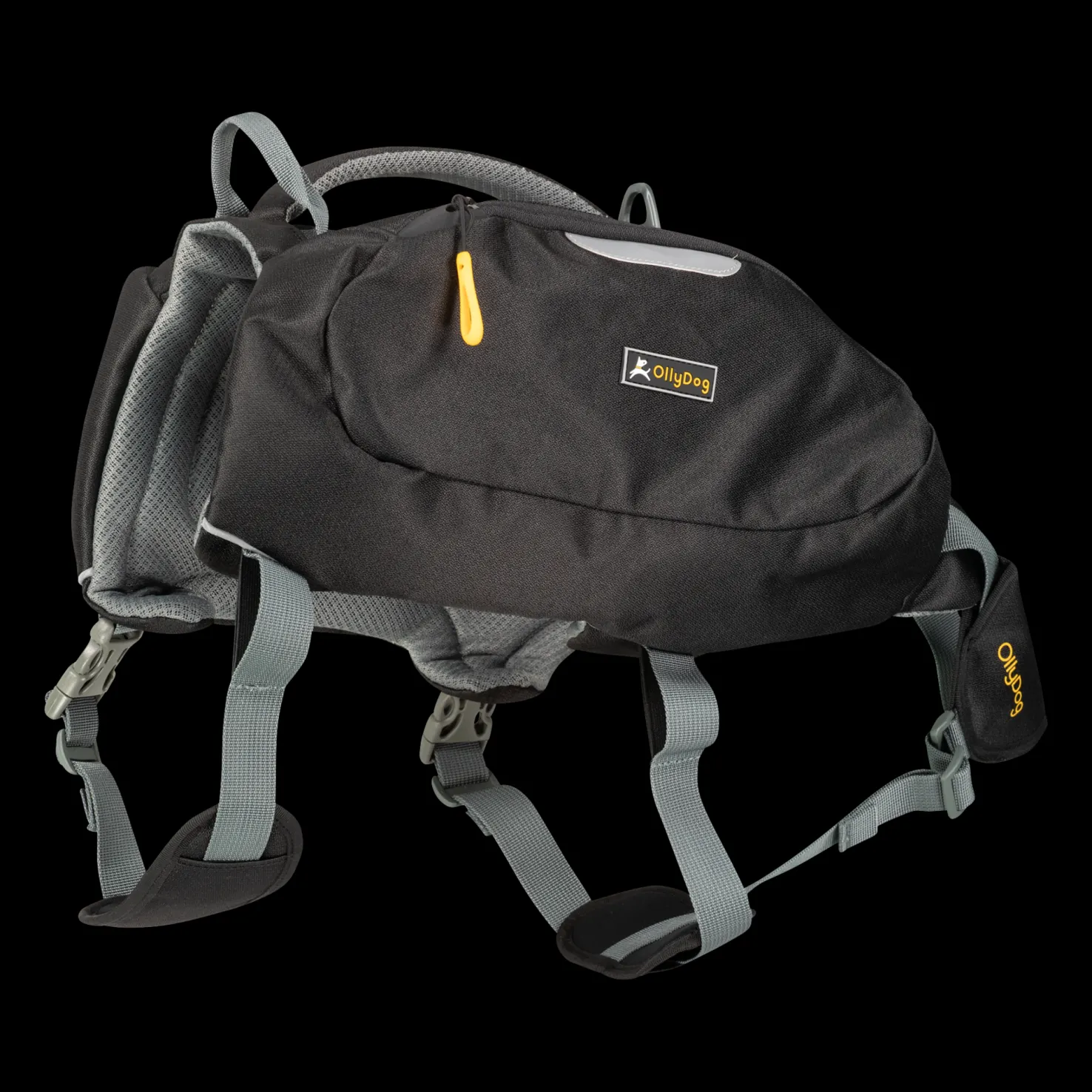 Rover Dog Pack Raven, koiran reppu - Koiran Turkin Hoito Ja Hampaiden Hoito - Rover Dog Pack Raven, koiran reppu