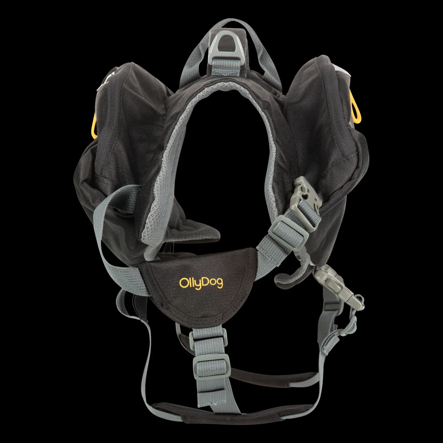 Rover Dog Pack Raven, koiran reppu - Koiran Turkin Hoito Ja Hampaiden Hoito - Rover Dog Pack Raven, koiran reppu