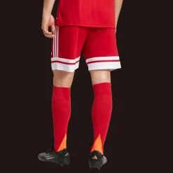 Squadra 25 Shorts, miesten jalkapalloshortsit - Jalkapalloshortsit - Squadra 25 Shorts, miesten jalkapalloshortsit