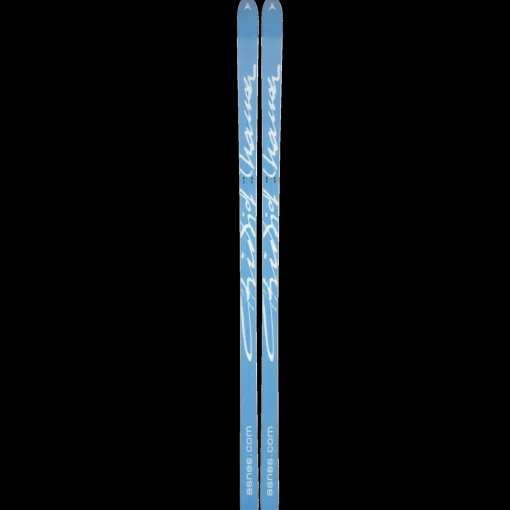 BC Skis Nansen 24/25, miesten tunturisukset - Metsäsukset Ja Vaellussukset - BC Skis Nansen 24/25, miesten tunturisukset