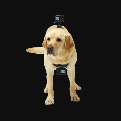 GoPro Fetch (Dog Harness) - Kameroiden lisävarusteet - GoPro Fetch (Dog Harness)
