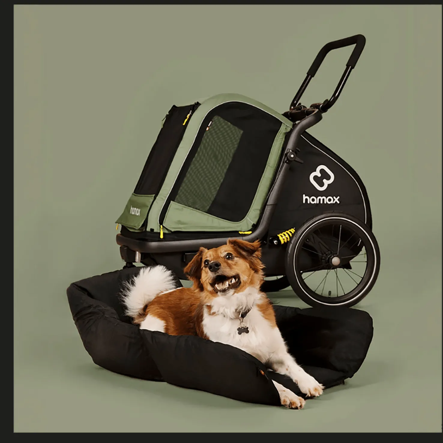 Hamax Pluto Dog Bed Medium, koiranpeti - Tarvikkeet Kuljetuskärryihin - Hamax Pluto Dog Bed Medium, koiranpeti